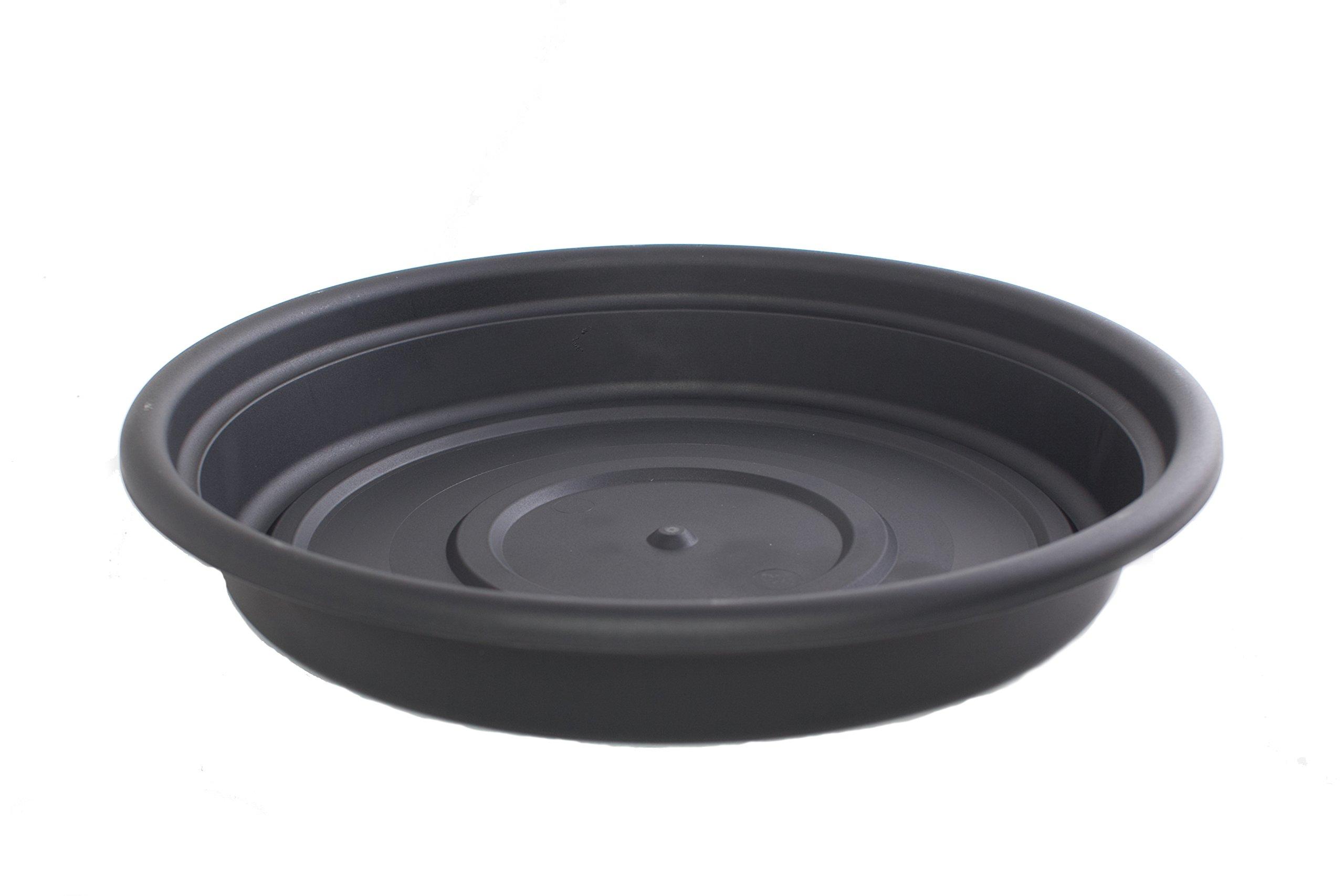 Bloem SDC1600 Dura Cotta Plant Saucer, 16Inch, Black 818573019561 eBay